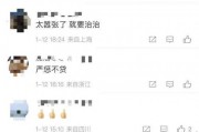 吃瓜看客
